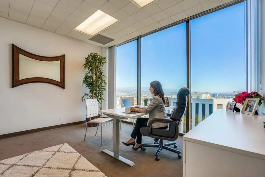 Barrister Suites Office Lease A woman works on a laptop at a desk in a modern office with large windows, city views, a potted plant, a chair, a decorative mirror, and a white cabinet with flowers.
