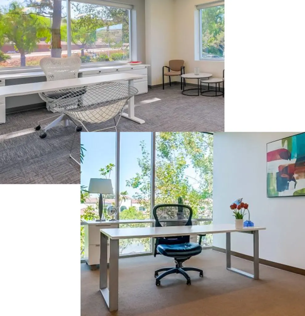 Barrister Suites Office Lease Two bright, modern office spaces with large windows. The first has a mesh chair, white desk, and a small seating area with two chairs and a table. The second features a white desk, black chair, art, and plants.