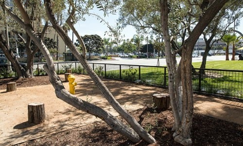 los angeles office suite dog park