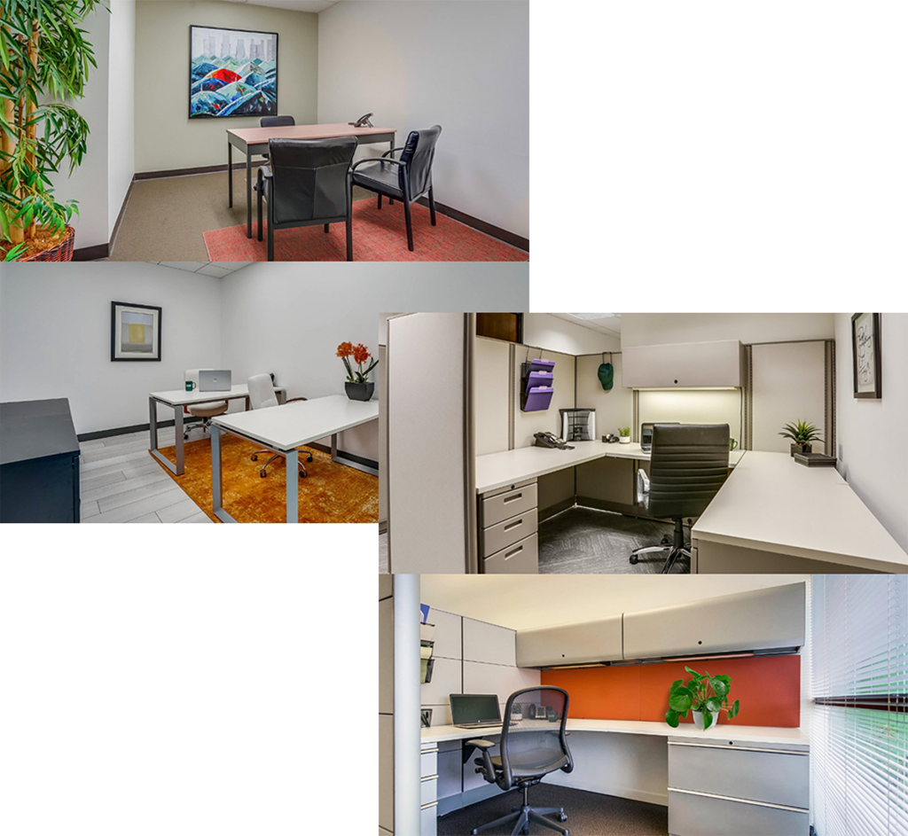 Barrister Suites Office Lease A collage of four modern office spaces, each with desks, chairs, plants, and decor, showcasing different layouts and color schemes in clean, well-lit environments.