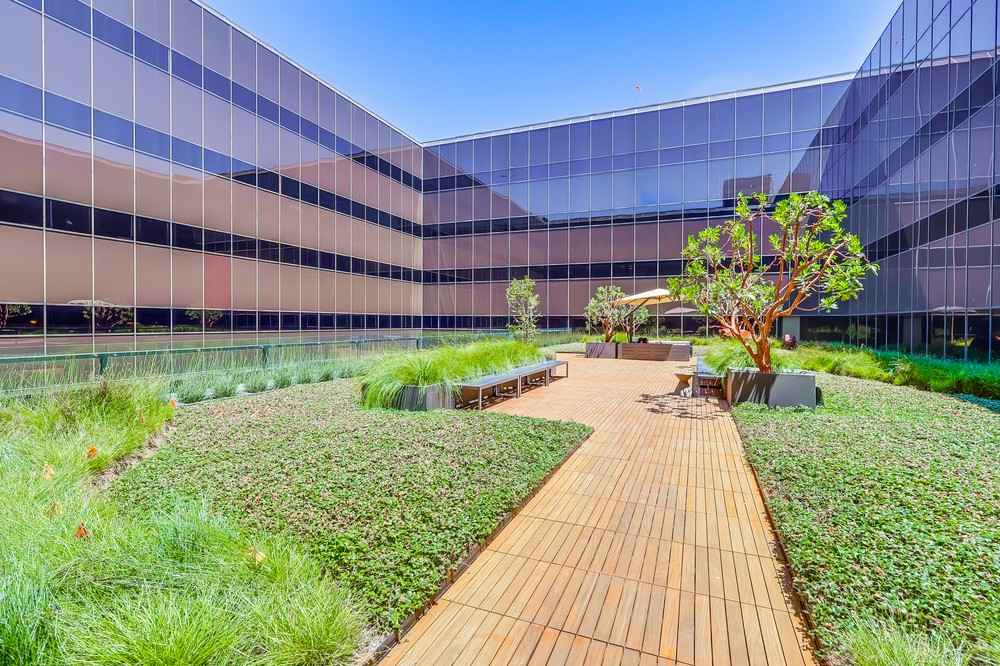Barrister Suites Office Lease A rooftop courtyard with wooden walkways, green plants, benches, and trees, surrounded by modern glass office buildings under a clear blue sky.