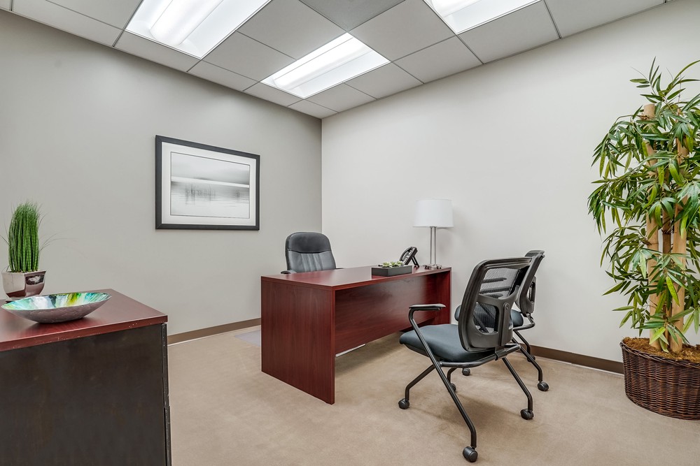 Barrister Suites Office Lease A modern office with a wooden desk, two black chairs, a potted plant, framed wall art, a lamp, and neutral walls, creating a clean and professional workspace.