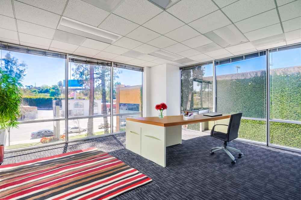 Barrister Suites Office Lease A modern office with large windows, a wooden desk with red flowers, a black office chair, and a striped rug. Bright natural light fills the space, and greenery and buildings are visible outside.
