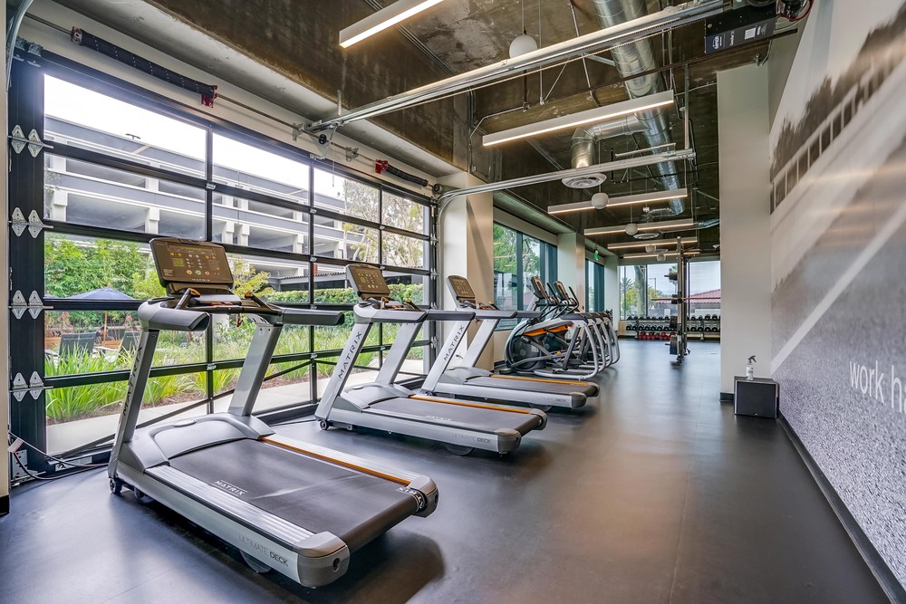 Barrister Suites Office Lease A modern gym with treadmills facing large windows, letting in natural light. The space features sleek equipment, a mural on the right wall, and a view of greenery and buildings outside.