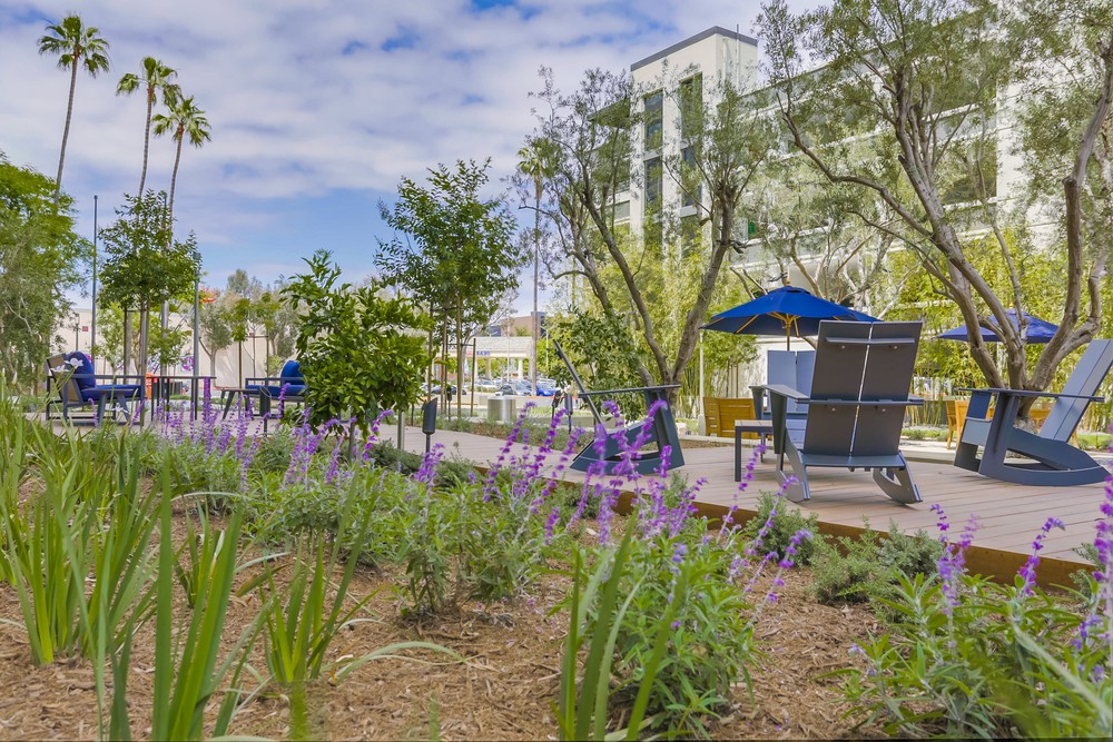 Barrister Suites Office Lease Outdoor seating area with blue chairs and tables on wooden decks, surrounded by blooming purple flowers, green plants, and trees, with a modern building and blue sky in the background.