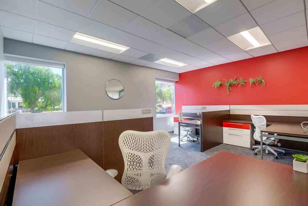 Barrister Suites Office Lease Modern office space with several desks and ergonomic chairs, a red accent wall decorated with potted plants, large windows letting in natural light, and a round mirror on a gray wall.