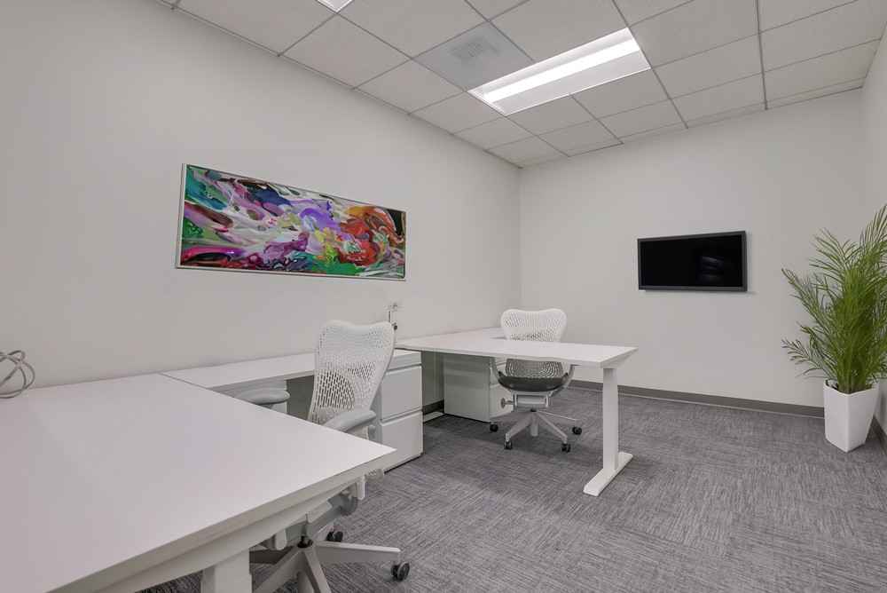 Barrister Suites Office Lease A modern office with two white desks and chairs, a colorful abstract painting on the wall, a small wall-mounted screen, and a tall potted plant in the corner. The room has grey carpet and bright overhead lighting.