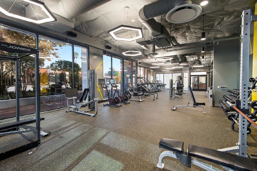 Barrister Suites Office Lease A modern gym with large windows, natural light, and various exercise equipment including free weights, benches, weight machines, and cardio machines, set on a rubber floor with industrial-style ceilings.