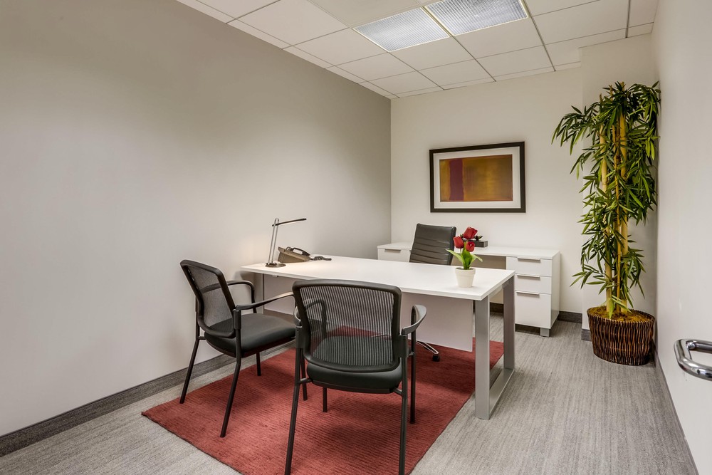 Barrister Suites Office Lease A modern office with a white desk, black chair, two guest chairs, a desk lamp, phone, red flowers, a potted plant, abstract wall art, and a red rug on a gray carpeted floor.