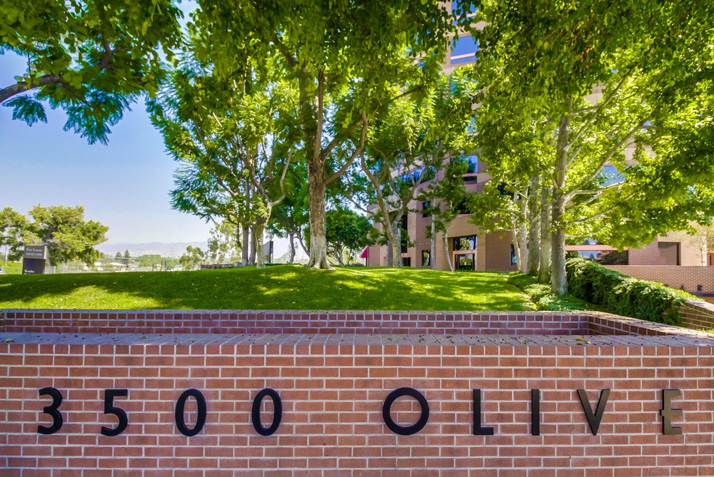 Barrister Suites Office Lease A brick wall with large black letters spelling 3500 OLIVE stands in front of a green lawn, several leafy trees, and a red brick building partially visible in the background.
