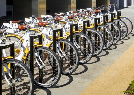 Barrister Suites Office Lease A row of yellow and white bicycles with brown seats are parked in a bike-sharing station on a sunny day, lined up neatly on a paved sidewalk.