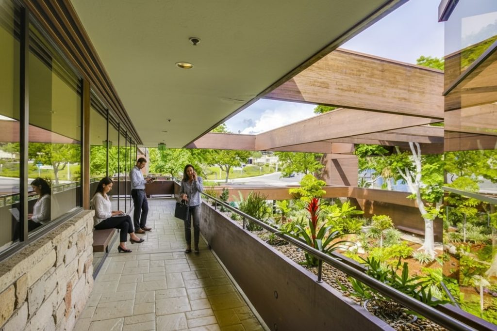 Barrister Suites Office Lease Four people are on an outdoor office balcony with modern architecture and lush landscaping. Two sit, two stand, and one talks on the phone. There are large windows and trees visible in the background.