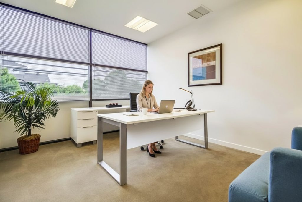Barrister Suites Office Lease A woman sits alone at a modern desk in a bright, minimalist office, working on a laptop. A potted plant, framed art, and large windows with blinds decorate the clean, uncluttered space.