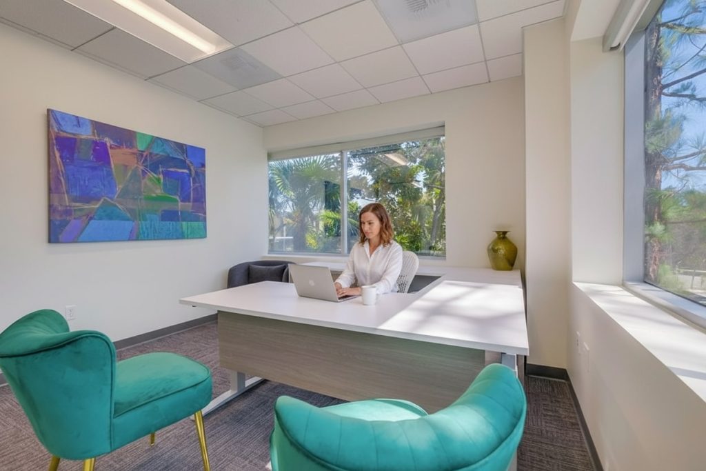 Barrister Suites Office Lease A woman works on a laptop at a white desk in a modern, bright office with large windows, green chairs, a colorful abstract painting, and a potted plant on the windowsill.