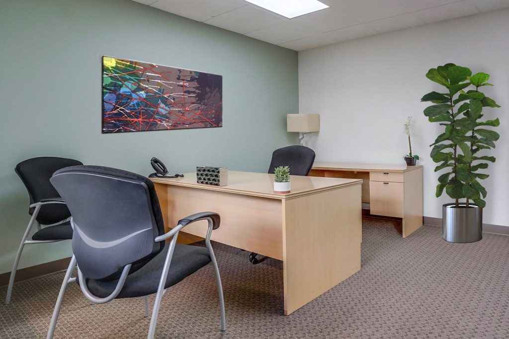 Barrister Suites Office Lease A modern office with a wooden desk, two black guest chairs, a black desk chair, a phone, and small plants. There’s abstract art on a green wall and a tall potted plant near a window.