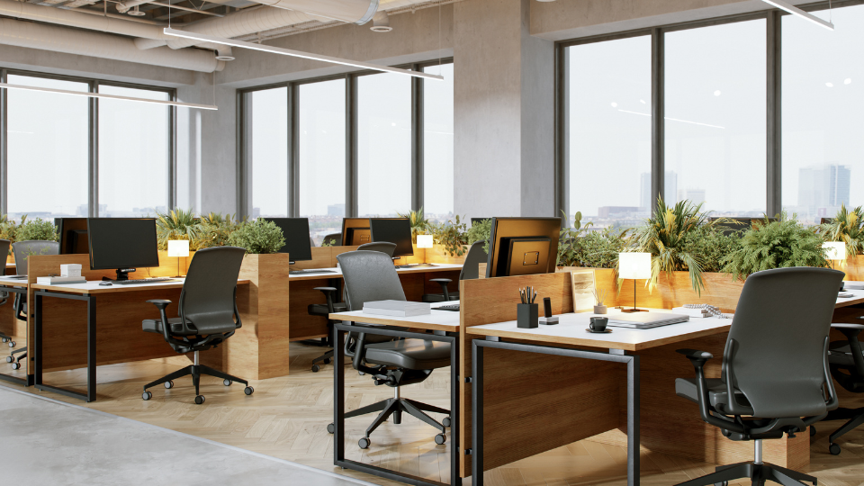 Barrister Suites Office Lease Modern open-plan office with wooden desks, black chairs, computers, plants, and large windows letting in natural light. The space has a clean, organized, and bright atmosphere.