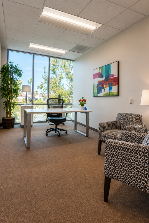 Barrister Suites Office Lease Modern office with a large window, desk, office chair, two patterned armchairs, a lamp, potted plant, and colorful abstract art on the wall. Natural light fills the space.