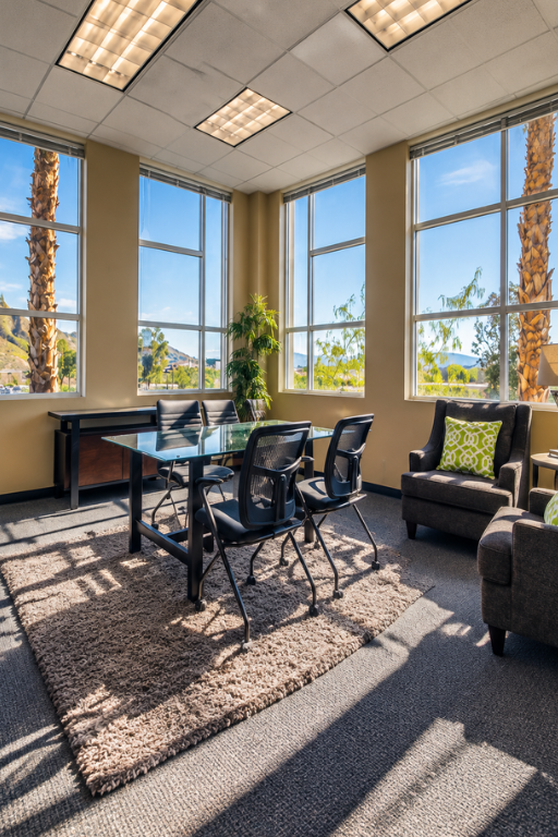 Barrister Suites Office Lease Modern office with large windows, black desk, three chairs, two armchairs with green pillows, a rug, and potted plants. Sunlight fills the room, and palm trees are visible outside.