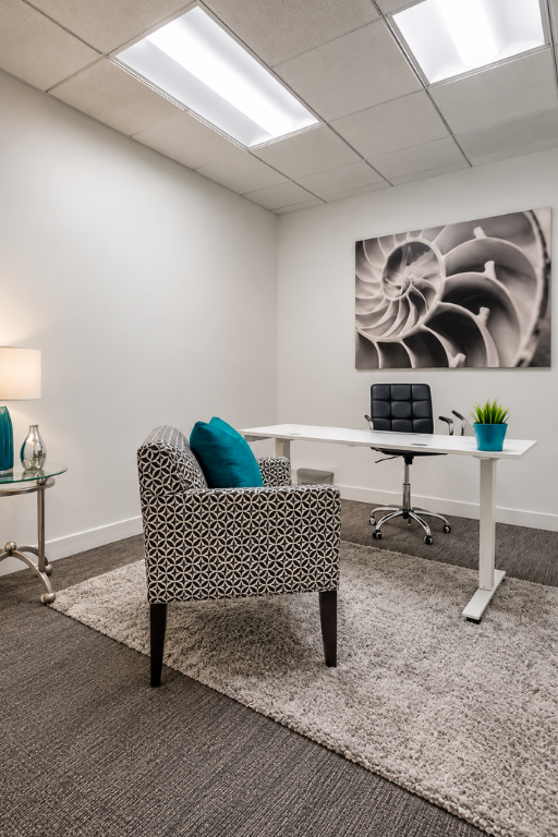 Barrister Suites Office Lease Modern office with a patterned armchair, desk, black chair, lamp, and plant. Nautilus shell artwork hangs on a white wall, and ceiling lights brighten the room. Gray carpet and rug cover the floor.